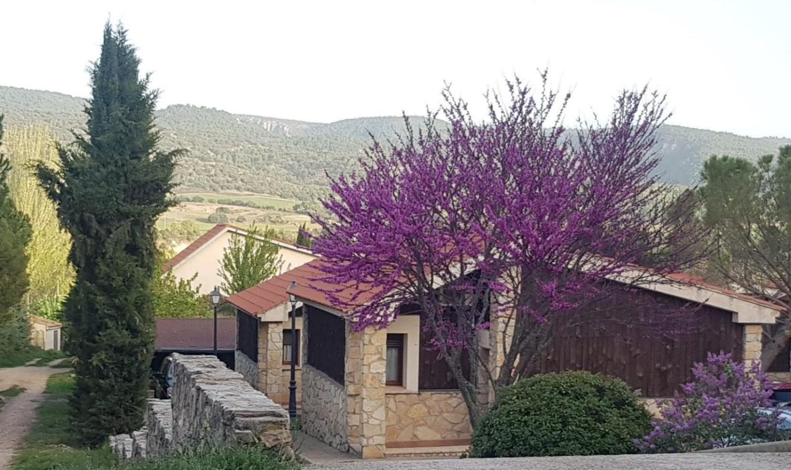 Aventura & Relax Cabanas Pena La Higuera Villalba de la Sierra Eksteriør billede
